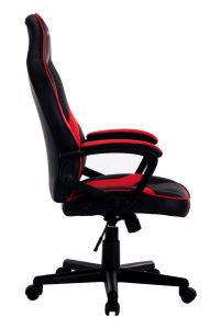 Геймърски стол Inaza Racing GT RGT01-BR 1